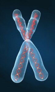 genes-aliens-chromosome-x-200po