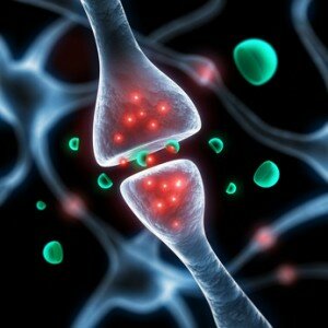 Impact des CEM sur les neurotransmetteurs