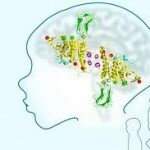 Autisme et EMF? Plausibilité d’un lien physiopathologique – Partie I.