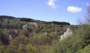 Gite en Haute Ardèche