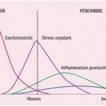 Publication trés importante du Pr MARTIN PALL sur le mecanisme d’action des champs EMF et pourquoi les normes actuelles sont fausses